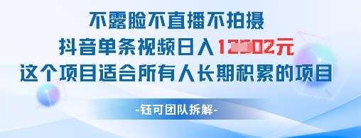 不露脸不直播不拍摄抖音单条视频日入1k+这个项目适合所有人长期积累的项目-靠谱项目库