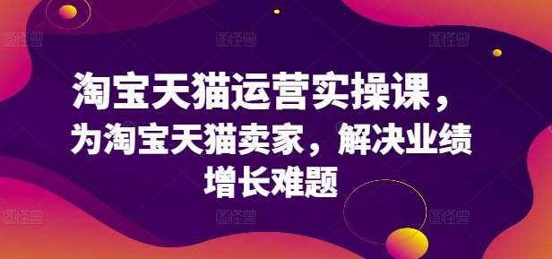 淘宝天猫运营实操课，为淘宝天猫卖家，解决业绩增长难题-靠谱项目库