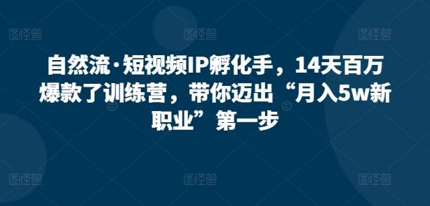 自然流·短视频IP孵化手，14天百万爆款了训练营，带你迈出“月入5w新职业”第一步-靠谱项目库