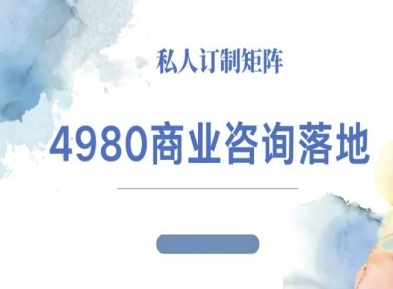 4980商业咨询师落地课程-ip运营高客单教程-靠谱项目库