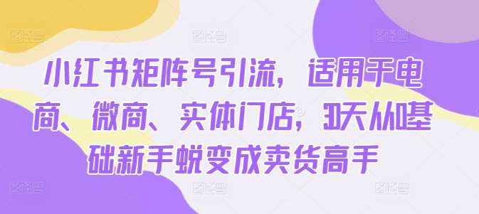 小红书矩阵号引流，适用于电商、微商、实体门店，30天从0基础新手蜕变成卖货高手-靠谱项目库