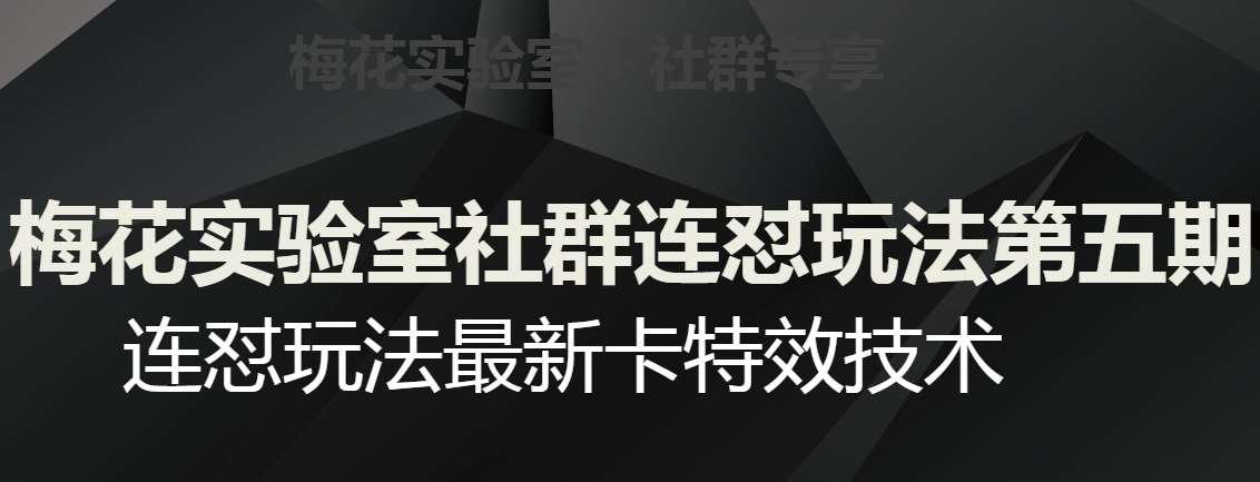 梅花实验室社群连怼玩法第五期,视频号连怼玩法最新卡特效技术-靠谱项目库