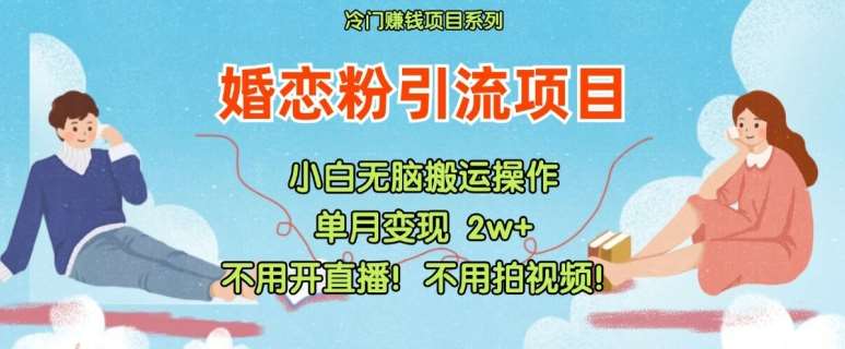 小红书婚恋粉引流，不用开直播，不用拍视频，不用做交付【揭秘】-靠谱项目库