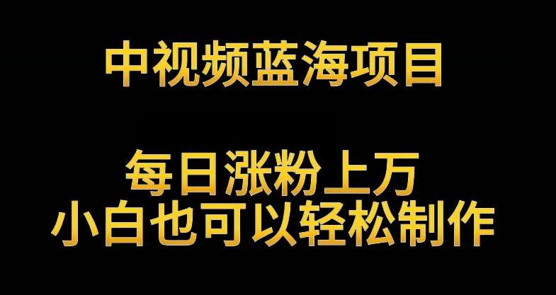 中视频蓝海项目，解读英雄人物生平，每日涨粉上万，小白也可以轻松制作，月入过万不是梦【揭秘】-靠谱项目库