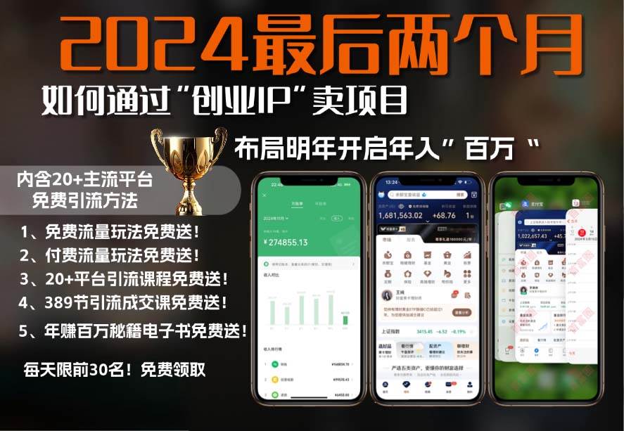 （13322期）2024最后两个月如何通过”创业IP“卖项目年入”百万“,创业IP+最强引流…-靠谱项目库