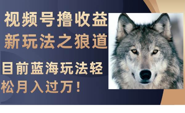 视频号撸收益新玩法之狼道，目前蓝海玩法轻松月入过万！-靠谱项目库