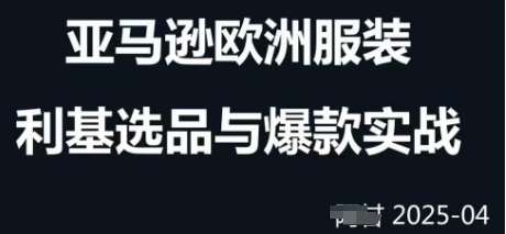 跨境电商选品案例24-25年，聚焦跨境电商选品策略与运营优化，助力卖家挖掘蓝海市场-靠谱项目库