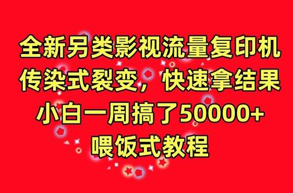 全新另类影视流量复印机，传染式裂变，快速拿结果，小白一周搞了50000+，喂饭式教程【揭秘】-靠谱项目库