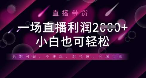 半无人直播带货,一场利润数张,适合所有平台玩法,小白也可轻松-靠谱项目库
