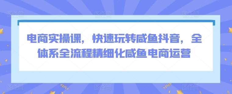 电商实操课，快速玩转咸鱼抖音，全体系全流程精细化咸鱼电商运营-靠谱项目库