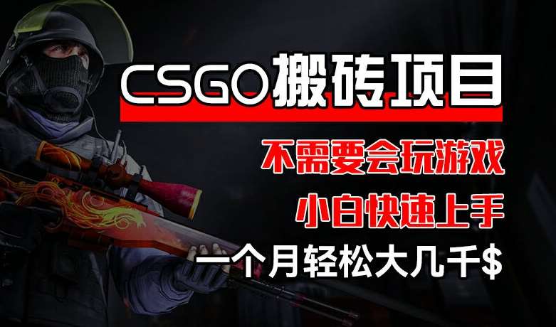 CSGO 装备搬砖项目,操作简单,不需要会玩游戏,小白也能快速上手,一个月轻松大几千【揭秘】-靠谱项目库
