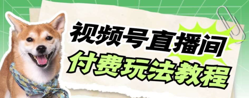 视频号美女付费无人直播，轻松日入500+【详细玩法教程】-靠谱项目库