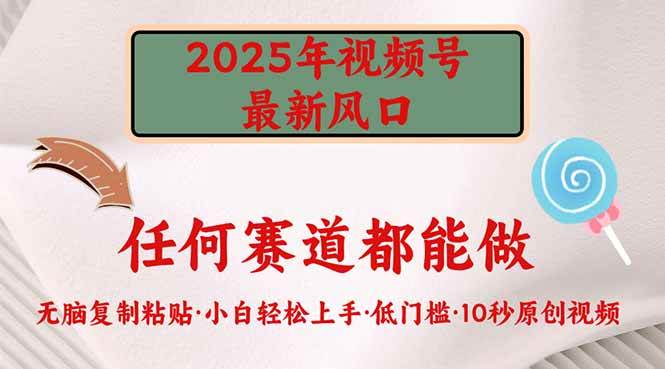 （14453期）2025年视频号新风口，低门槛只需要无脑执行-靠谱项目库