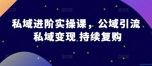 私域进阶实操课，公域引流 私域变现 持续复购-靠谱项目库