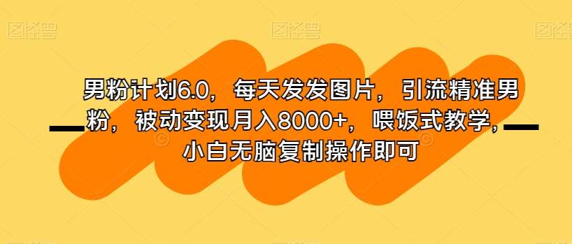 男粉计划6.0，每天发发图片，引流精准男粉，被动变现月入8000+，喂饭式教学，小白无脑复制操作即可-靠谱项目库