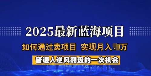 2025蓝海项目，普通人如何通过卖项目，实现月入过W，全过程【揭秘】-靠谱项目库