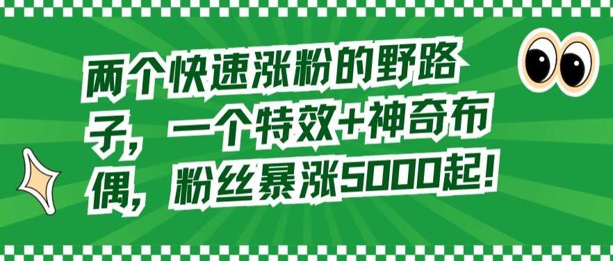 两个快速涨粉的野路子，一个特效+神奇布偶，粉丝暴涨5000起【揭秘】-靠谱项目库