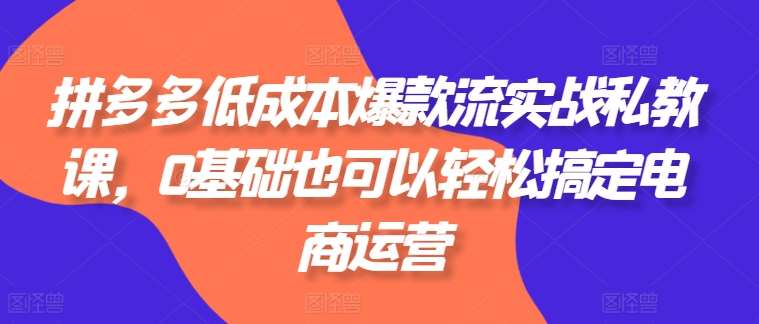 拼多多低成本爆款流实战私教课，0基础也可以轻松搞定电商运营-靠谱项目库