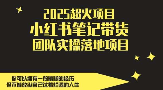 2025超火项目,副业最佳选择,小红书笔记带货团队实操落地项目,,轻松日入5张-靠谱项目库