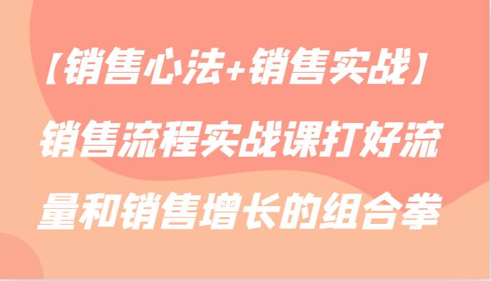 【销售心法+销售实战】销售流程实战课打好流量和销售增长的组合拳-靠谱项目库