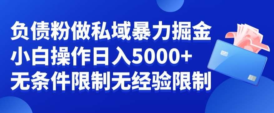 负债粉私域暴力掘金,小白操作入5000,无经验限制,无条件限制【揭秘】-靠谱项目库