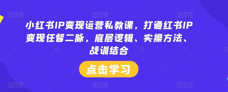 小红书IP变现运营私教课，打通红书IP变现任督二脉，底层逻辑、实操方法、战训结合-靠谱项目库