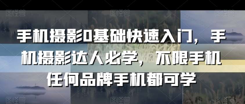 手机摄影0基础快速入门，手机摄影达人必学，不限手机任何品牌手机都可学-靠谱项目库