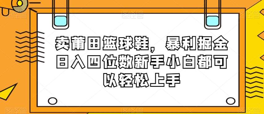 卖莆田篮球鞋,暴利掘金日入四位数新手小白都可以轻松上手【揭秘】-靠谱项目库