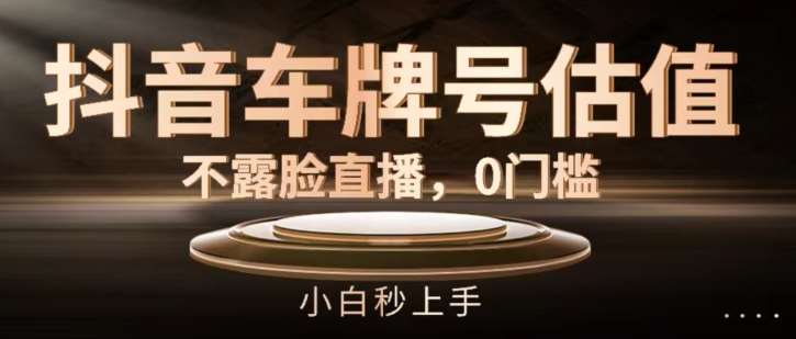 抖音车牌号估值,不露脸直播,0门槛,小白秒上手【揭秘】-靠谱项目库