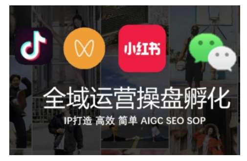 全域运营操盘(抖音+私域+小红书)，IP打造高效简单-靠谱项目库