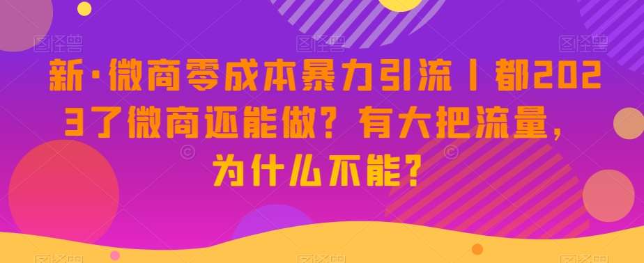 新·微商零成本暴力引流丨都2023了微商还能做？有大把流量，为什么不能？-靠谱项目库
