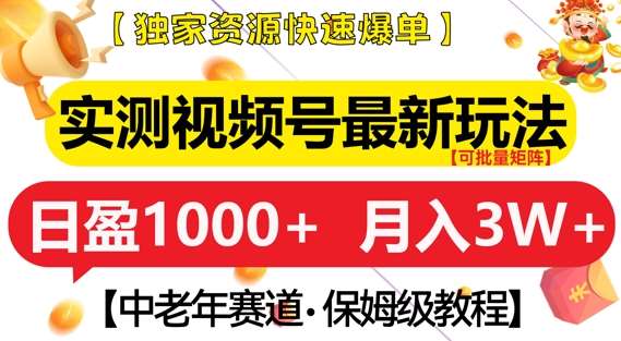 实测视频号最新玩法，中老年赛道，独家资源，月入过W+【揭秘】-靠谱项目库