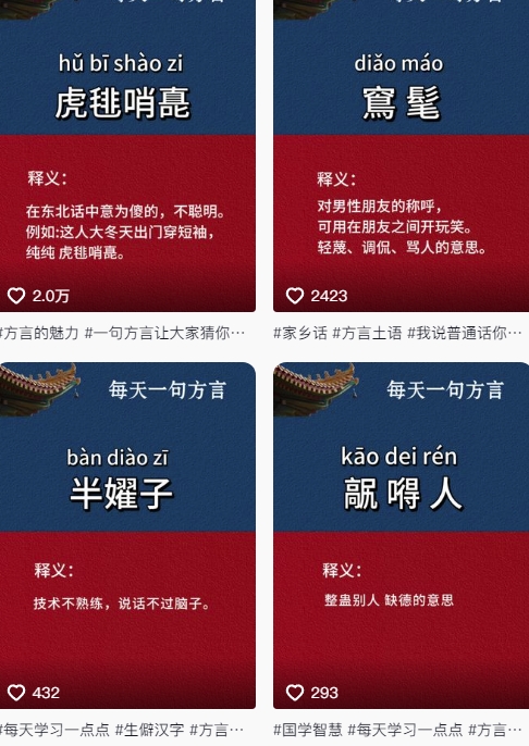 图片[2]-抖音最新涨粉玩法，图文方言暴力涨粉实操，126作品涨粉11W-靠谱项目库