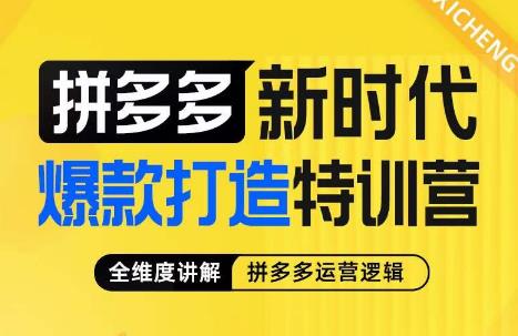 玺承·拼多多新时代爆款打造特训营，全维度讲解拼多多运营逻辑-靠谱项目库