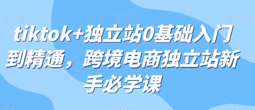 tiktok+独立站0基础入门到精通，跨境电商独立站新手必学课-靠谱项目库