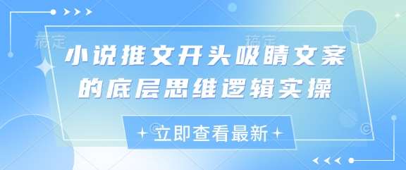 小说推文开头吸睛文案的底层思维逻辑实操-靠谱项目库