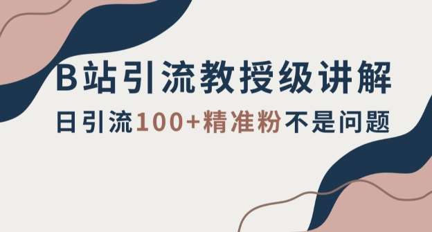 B站引流教授级讲解,细节满满,日引流100+精准粉不是问题【揭秘】-靠谱项目库