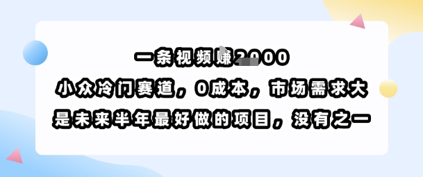 一条视频挣1k,小众冷门赛道,0成本,市场需求大,是未来半年最好做的项目,没有之一-靠谱项目库