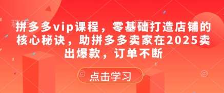 拼多多vip课程，零基础打造店铺的核心秘诀，助拼多多卖家在2025卖出爆款，订单不断-靠谱项目库