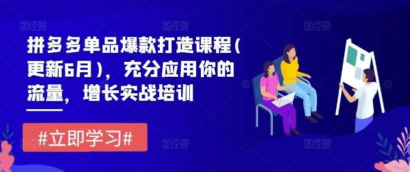拼多多单品爆款打造课程(更新6月)，充分应用你的流量，增长实战培训-靠谱项目库