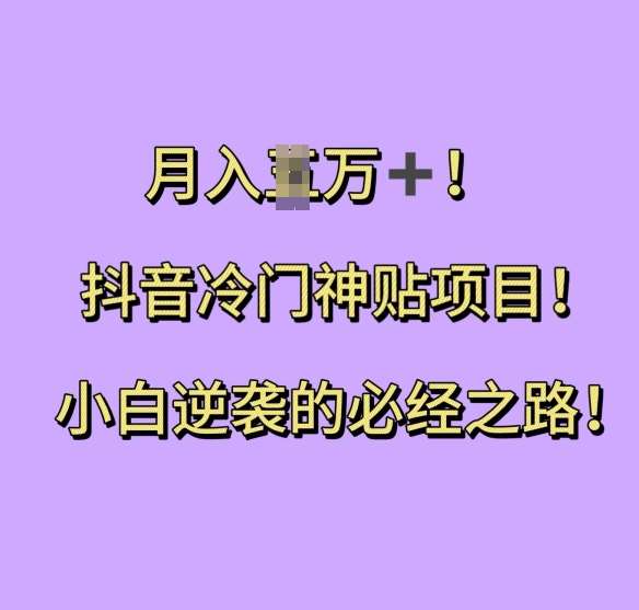 抖音冷门神贴项目,小白逆袭的必经之路,月入过W【揭秘】-靠谱项目库