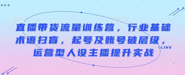 直播带货流量训练营，行业基础术语扫盲，起号及账号破层级，运营型人设主播提升实战-靠谱项目库