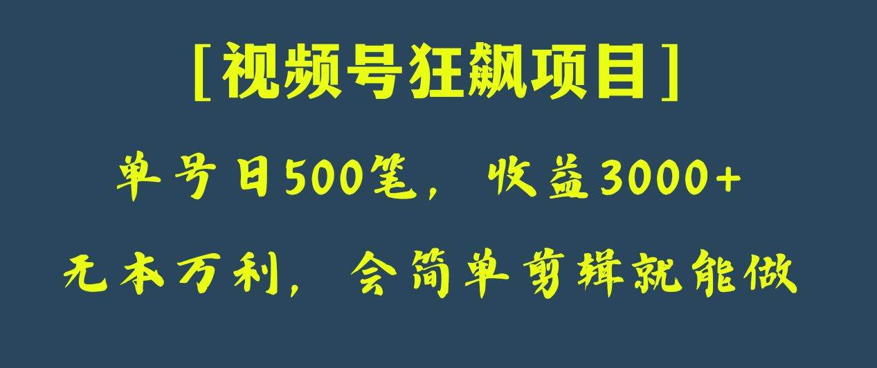 日收款500笔,纯利润3000+,视频号狂飙项目!-靠谱项目库