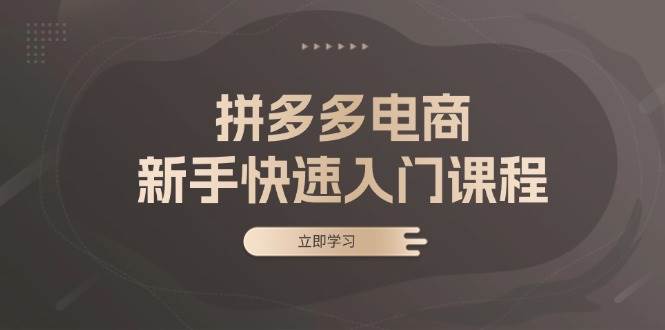 （13289期）拼多多电商新手快速入门课程：涵盖基础、实战与选款，助力小白轻松上手-靠谱项目库