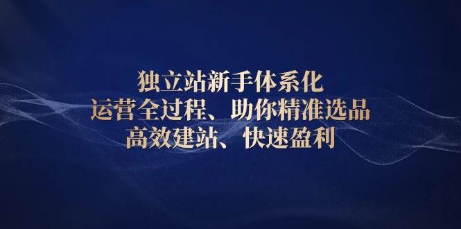 （13914期）独立站新手体系化 运营全过程，助你精准选品、高效建站、快速盈利-靠谱项目库