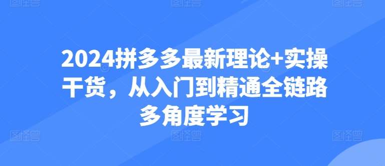 2024拼多多最新理论+实操干货，从入门到精通全链路多角度学习-靠谱项目库