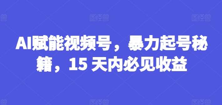 AI赋能视频号，暴力起号秘籍，15 天内必见收益【揭秘】-靠谱项目库