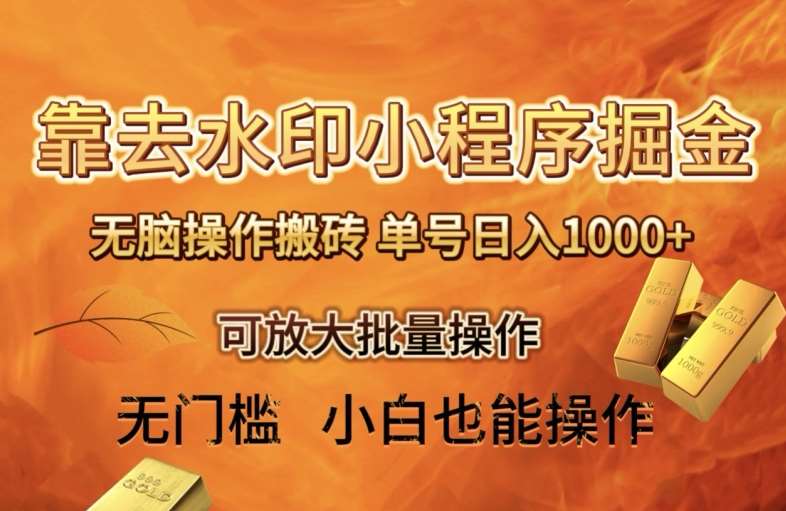 靠去水印小程序无脑操作搬砖，单号日入1000+保姆级教程可放大批量操作【揭秘】-靠谱项目库