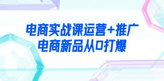 （9313期）电商实战课运营+推广，电商新品从0打爆（99节视频课）-靠谱项目库