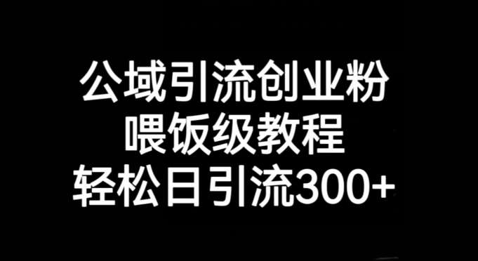 公域引流创业粉，喂饭级教程，轻松日引流300+【揭秘】-靠谱项目库